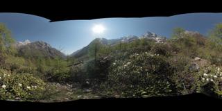 小金县长坪沟 (48)